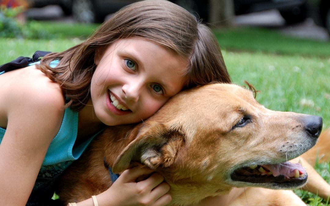 Keeping The Peace Between Kids and Pets