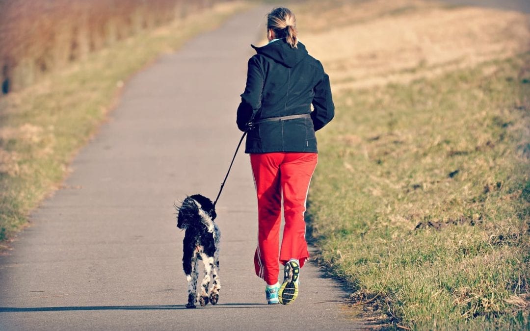 Walk Your Dog More In The New Year